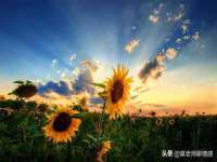 南京乐艺装饰有限公司