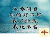 南京乐艺装饰有限公司