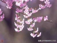 南京乐艺装饰有限公司
