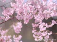 南京乐艺装饰有限公司