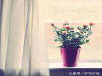 南京乐艺装饰有限公司