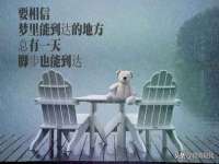 南京乐艺装饰有限公司