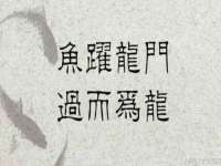南京乐艺装饰有限公司