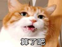 南京乐艺装饰有限公司