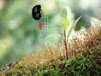 南京乐艺装饰有限公司