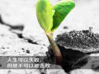 南京乐艺装饰有限公司