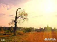 南京乐艺装饰有限公司