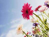 南京乐艺装饰有限公司