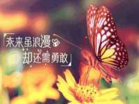 南京乐艺装饰有限公司