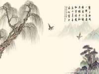 南京乐艺装饰有限公司