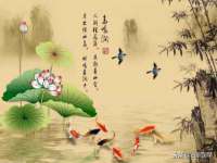 南京乐艺装饰有限公司