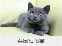 南京乐艺装饰有限公司