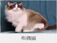 南京乐艺装饰有限公司