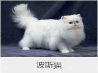南京乐艺装饰有限公司