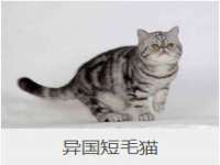 南京乐艺装饰有限公司