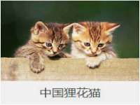 南京乐艺装饰有限公司