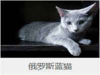 南京乐艺装饰有限公司