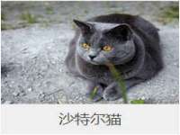 南京乐艺装饰有限公司