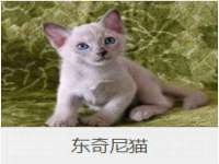南京乐艺装饰有限公司
