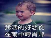 南京乐艺装饰有限公司