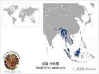 南京乐艺装饰有限公司