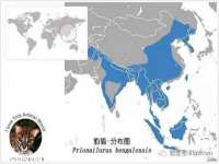 南京乐艺装饰有限公司