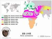南京乐艺装饰有限公司