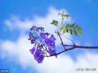 南京乐艺装饰有限公司