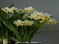 南京乐艺装饰有限公司