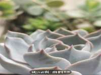 南京乐艺装饰有限公司