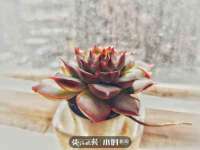 南京乐艺装饰有限公司