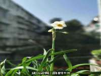 南京乐艺装饰有限公司