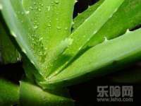 南京乐艺装饰有限公司