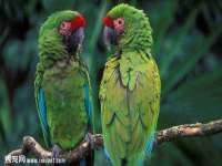 南京乐艺装饰有限公司