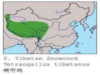 南京乐艺装饰有限公司