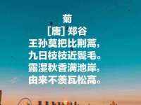 南京乐艺装饰有限公司