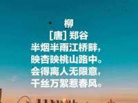 南京乐艺装饰有限公司