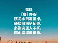 南京乐艺装饰有限公司