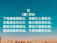 南京乐艺装饰有限公司