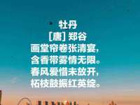 南京乐艺装饰有限公司