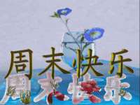南京乐艺装饰有限公司
