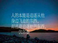 南京乐艺装饰有限公司