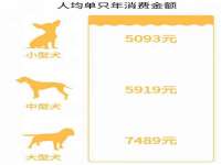 南京乐艺装饰有限公司