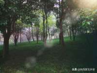 南京乐艺装饰有限公司