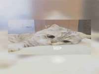南京乐艺装饰有限公司