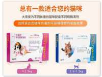 南京乐艺装饰有限公司