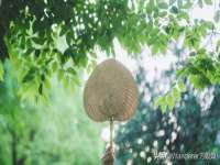 南京乐艺装饰有限公司