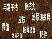 南京乐艺装饰有限公司