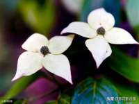 南京乐艺装饰有限公司