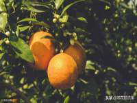 南京乐艺装饰有限公司